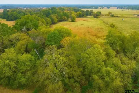 Grand Saline Acreage with Pastures