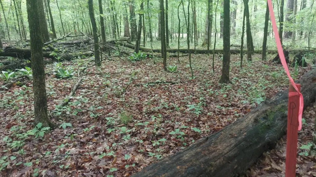 Picture 3