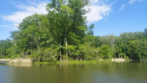 Tennessee River Waterfront Wooded Land