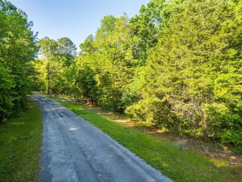 Tennessee River Waterfront Wooded Lot