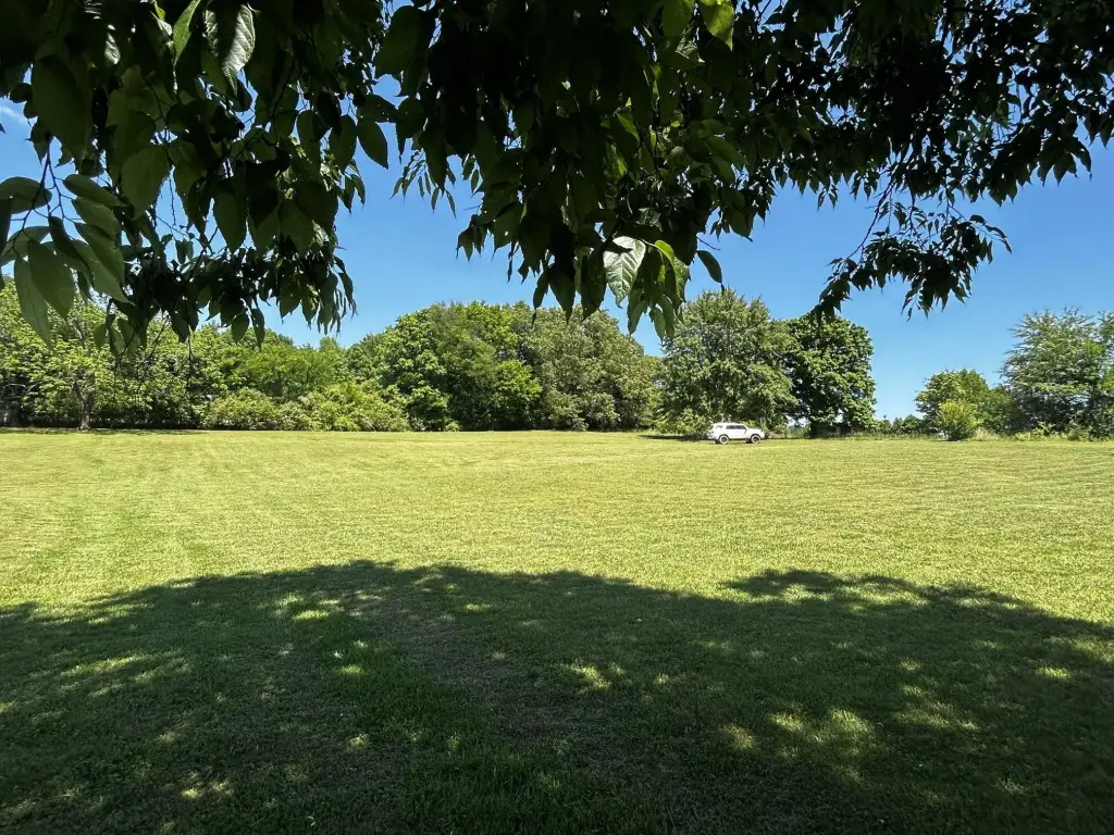 Picture 23