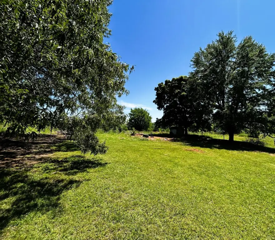 Picture 35