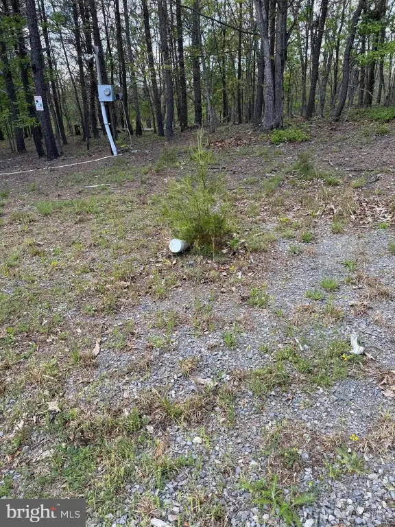 Picture 17