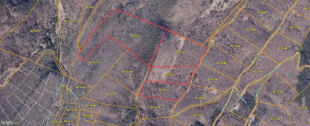 Picture 4