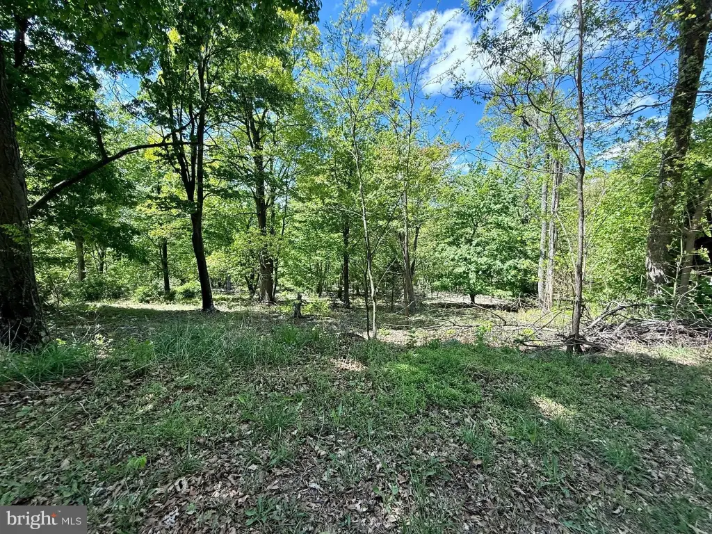 Picture 21