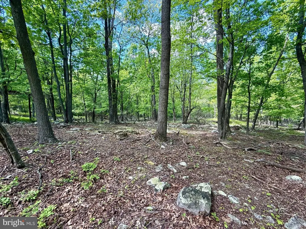 Picture 14