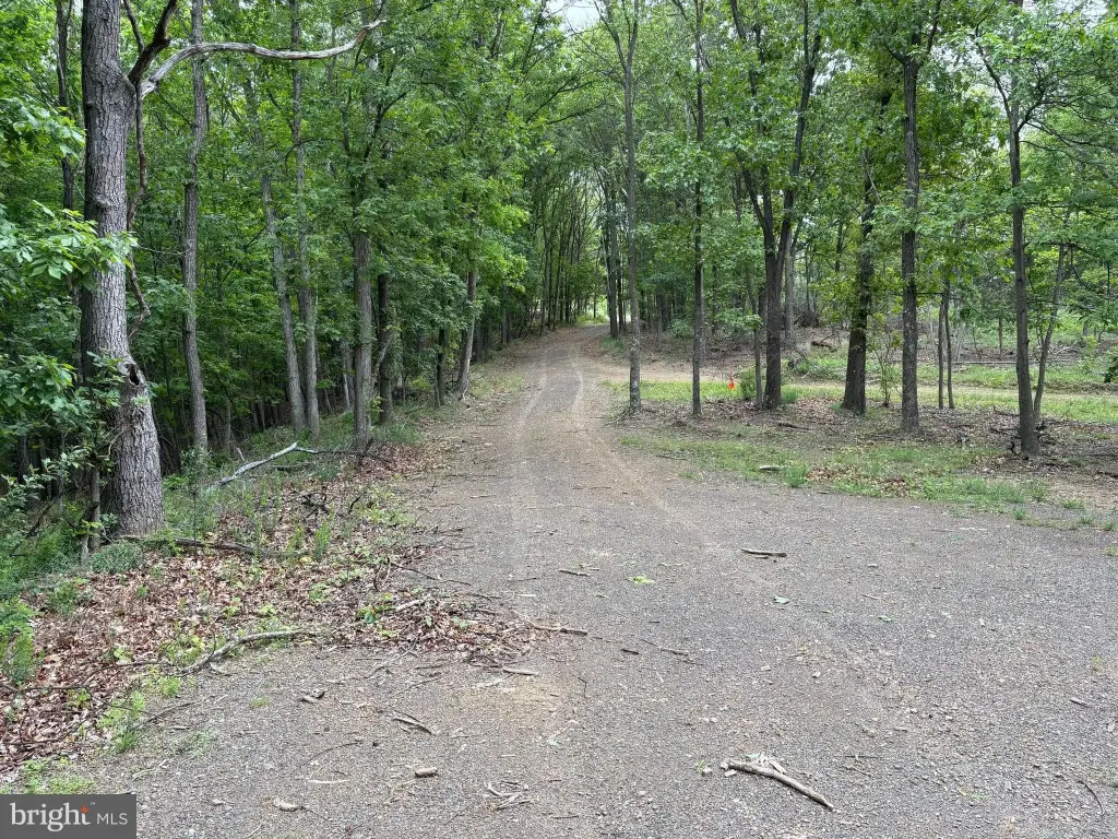 Picture 9