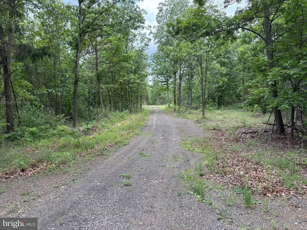 Picture 6
