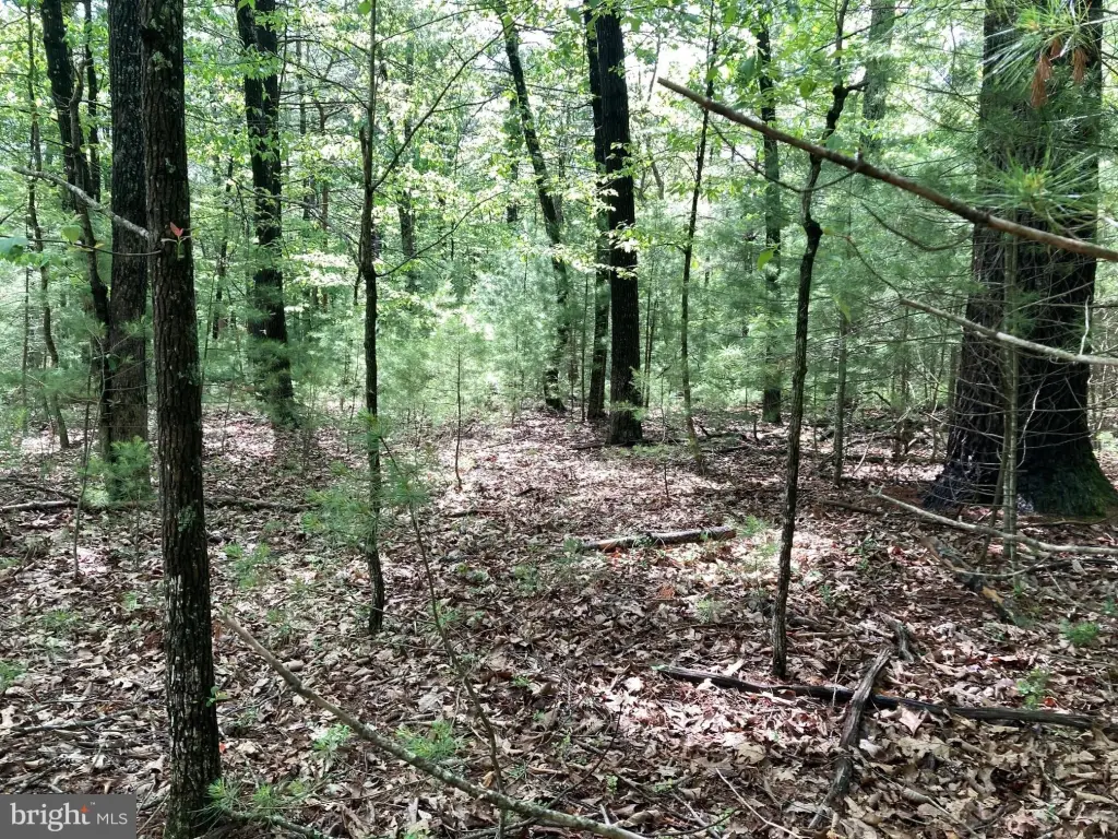 Picture 6