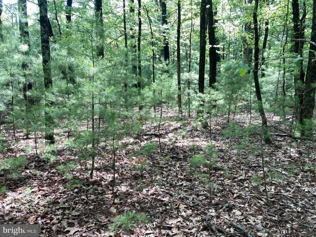 Picture 5