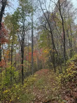 Scaly Mountain Land For Sale