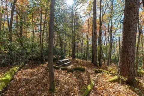 High Hampton Homesite Opportunity