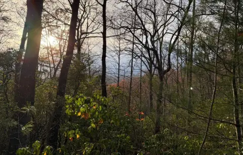 Scaly Mountain Land For Sale