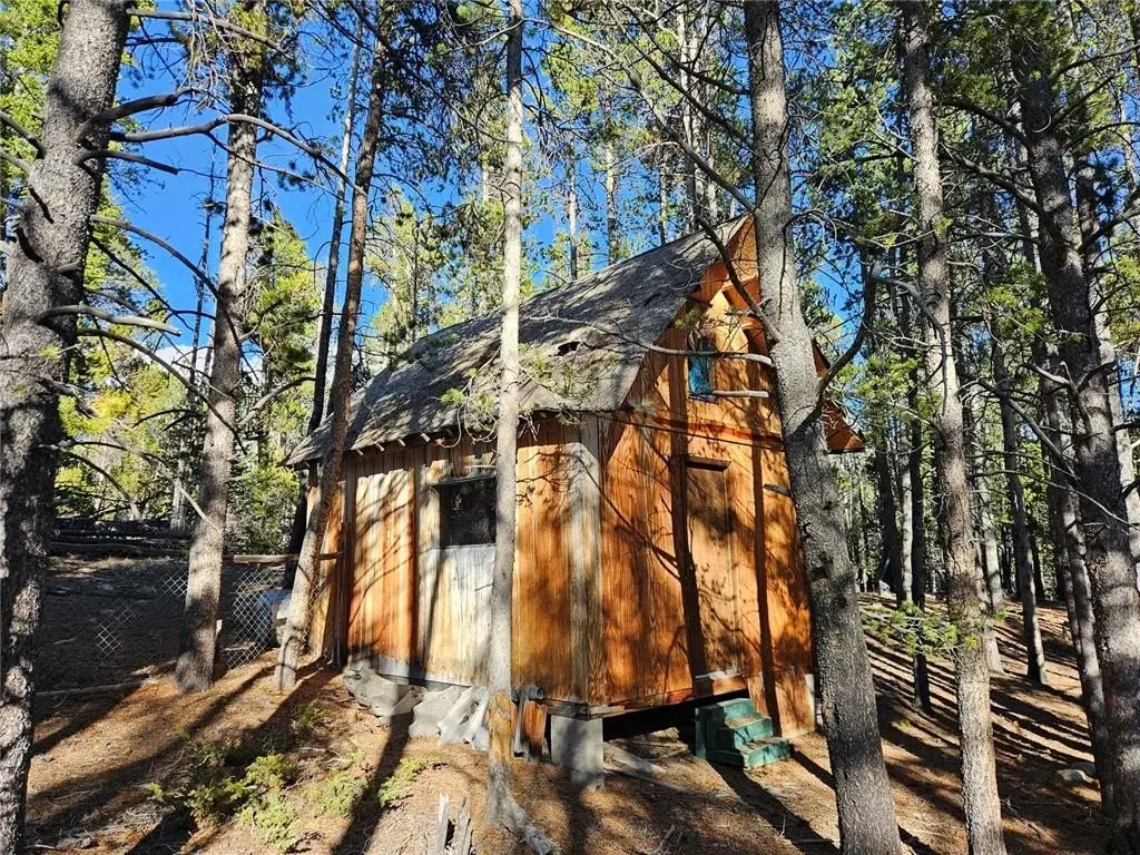 Picture 23