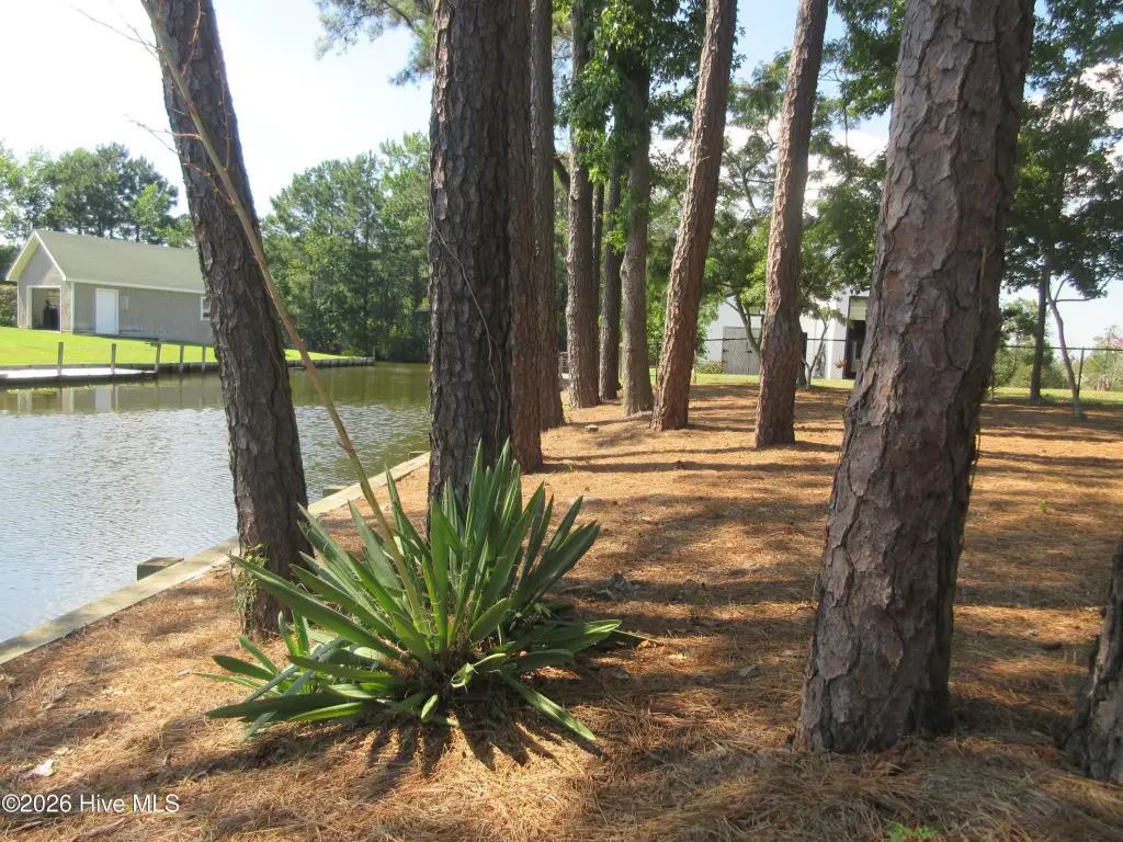 Picture 12