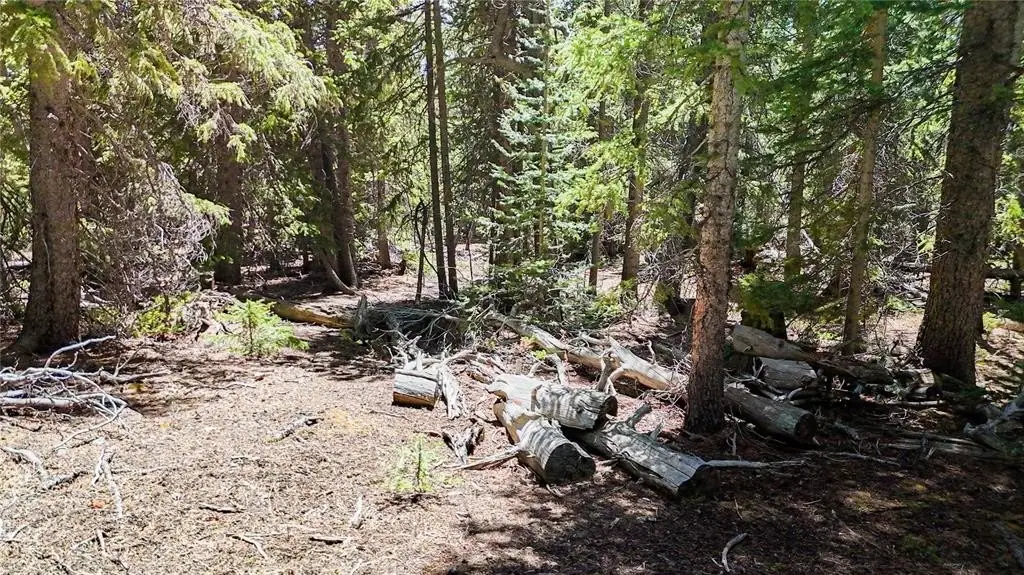 Picture 13