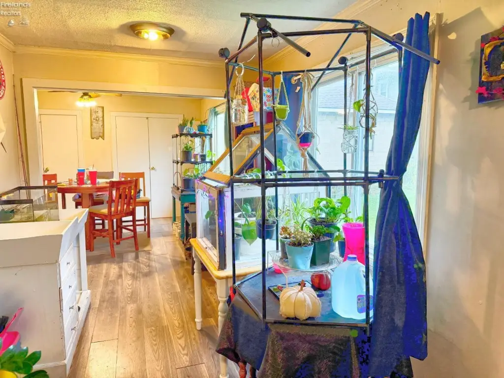 Picture 12