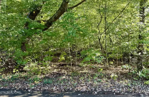 Harrogate Lot Near LMU