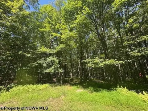 Wooded Land Near Deep Creek