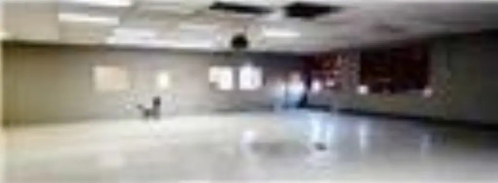 Picture 17