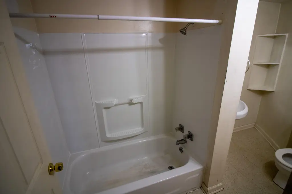 Picture 12