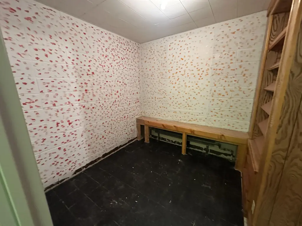 Picture 21