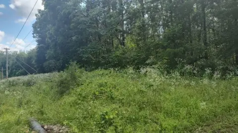 Lakeside Lot in Shell Knob