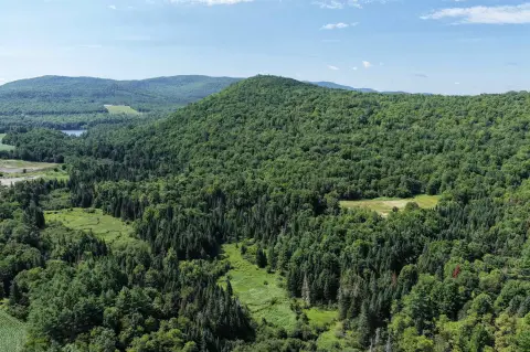 Recreational Forest Land with Timber & Trails