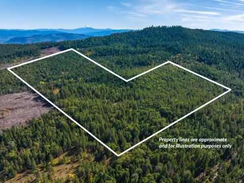 Eagle Point Timberland Investment Opportunity