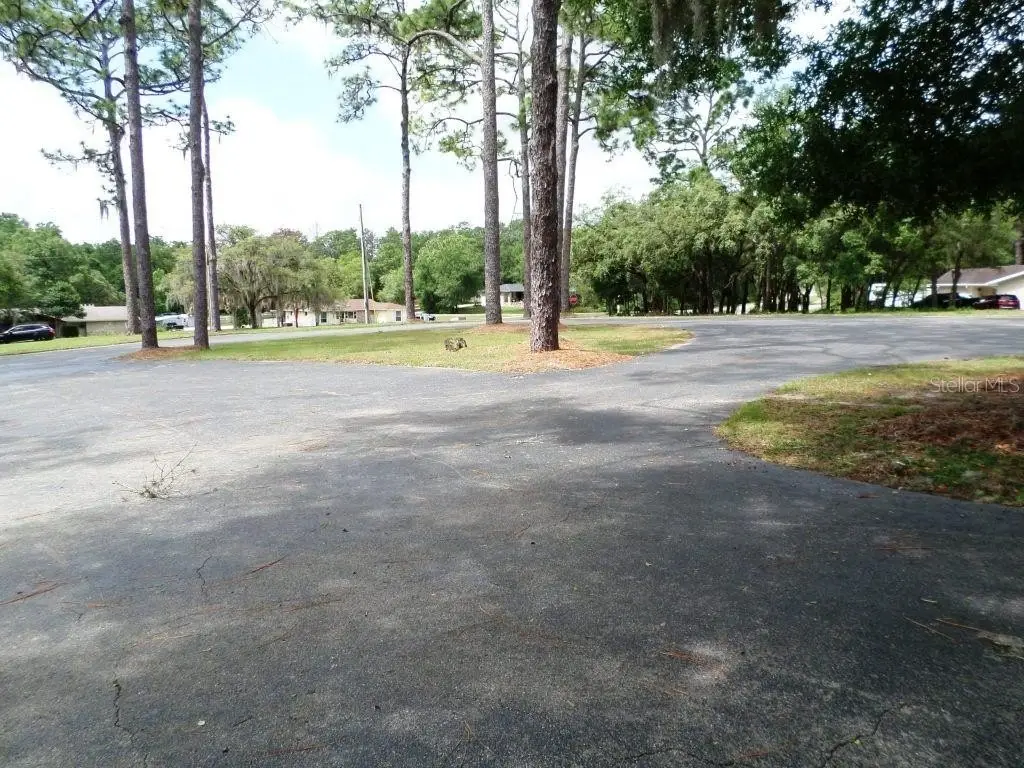 Picture 8
