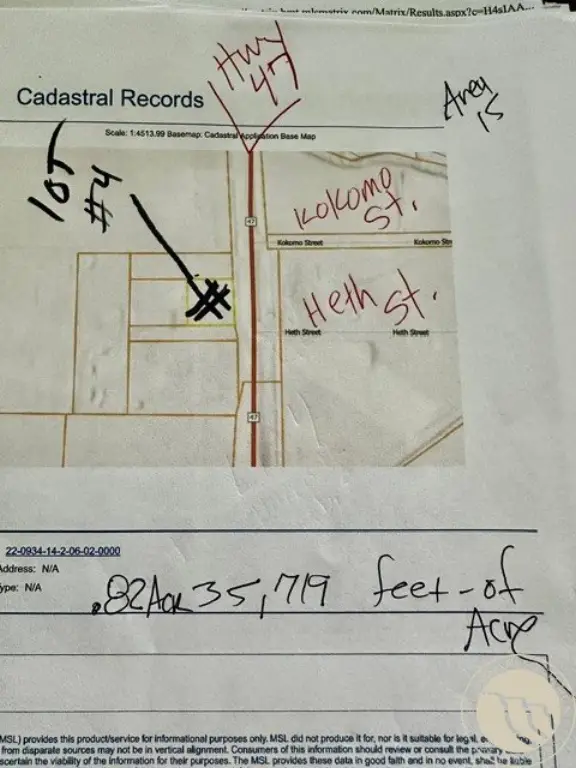 Picture 8