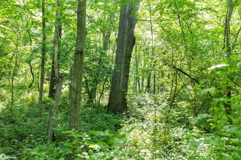 Picture 40
