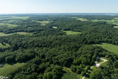 Timber Hunting Tract with Openings
