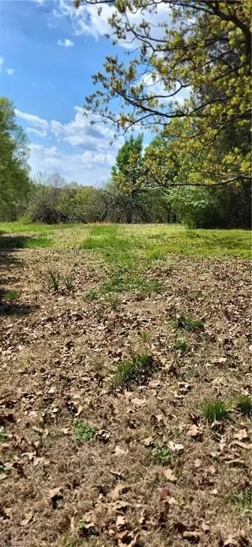 Picture 14