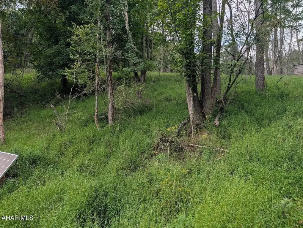 Picture 10