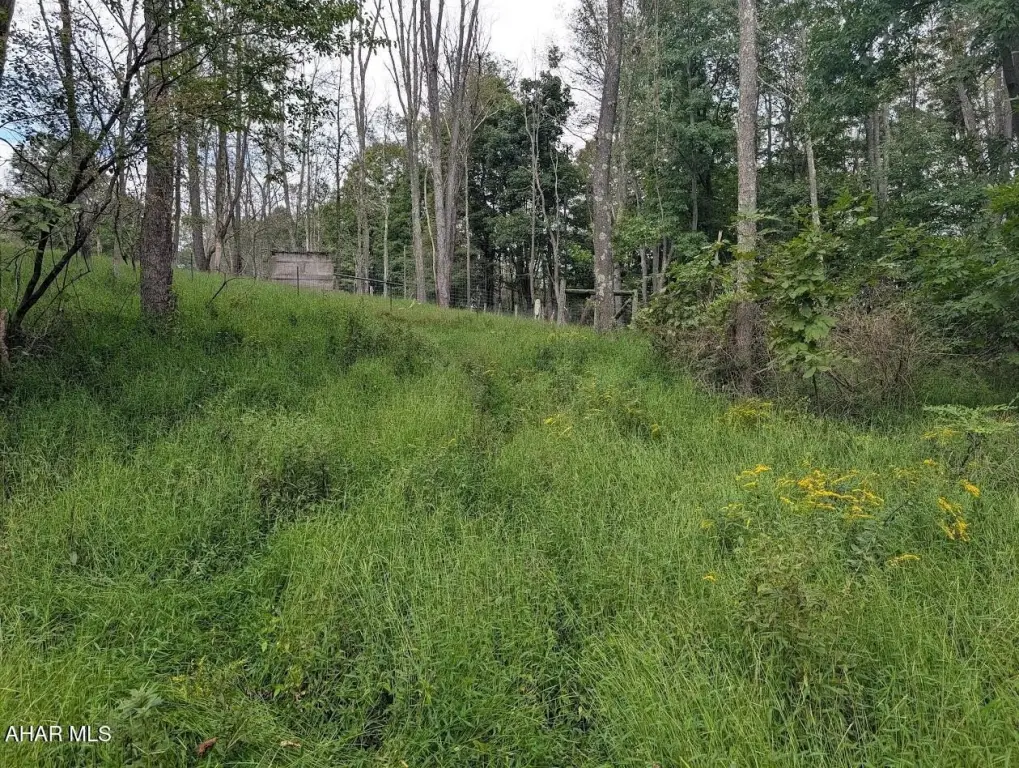 Picture 9
