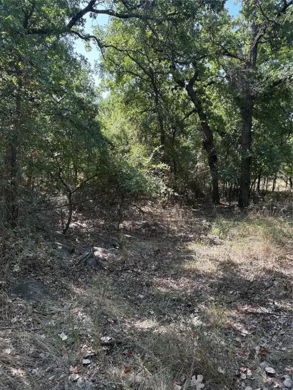 Picture 3