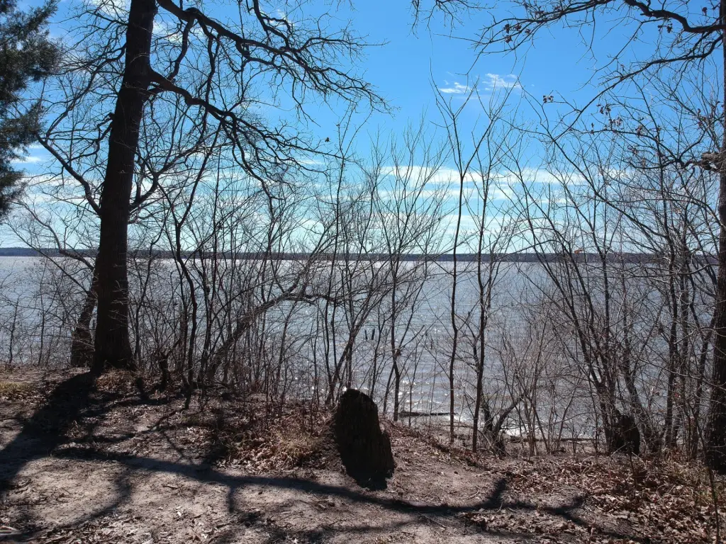 Picture 8