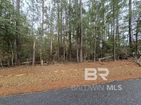 Two-Acre Wooded Vacant Land