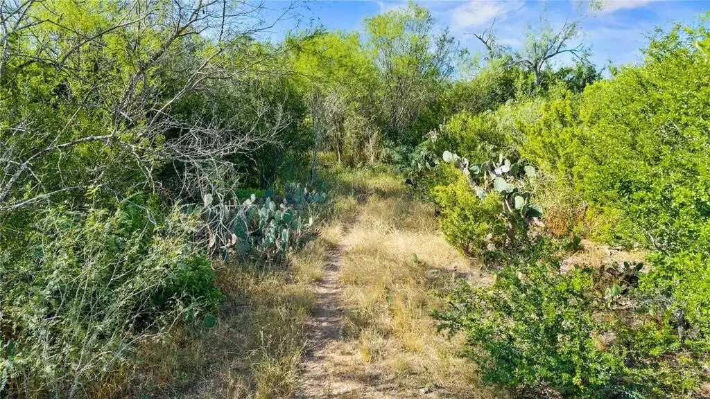 Picture 19