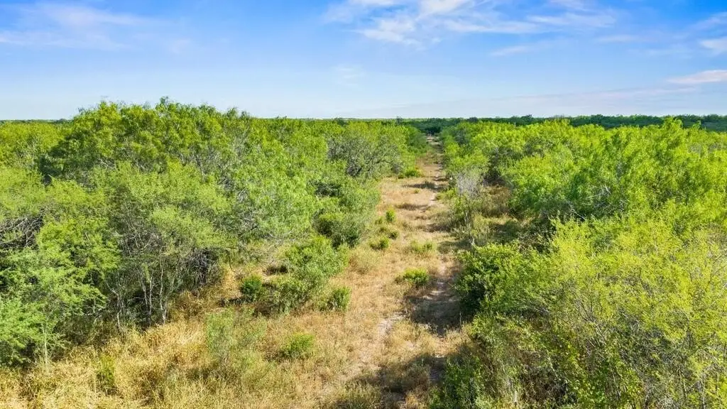Picture 24