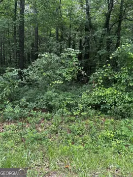 Bowdon, GA Land Opportunity