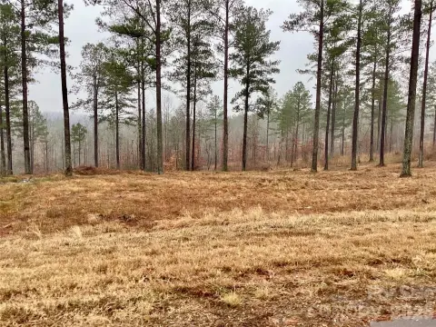 Lake Rhodhiss Homesite Opportunity