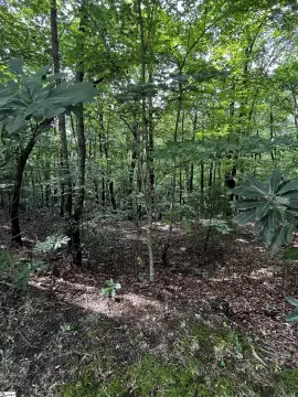 Residential Lot in Cliff Ridge