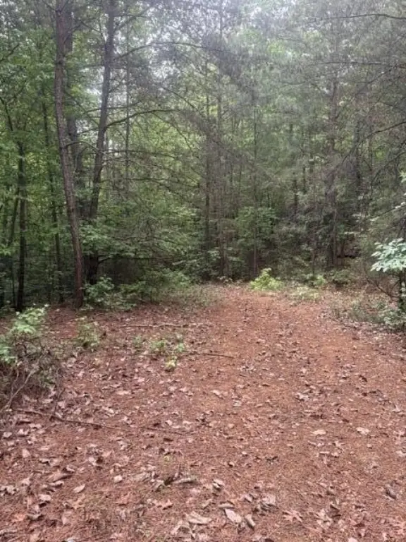 Picture 7
