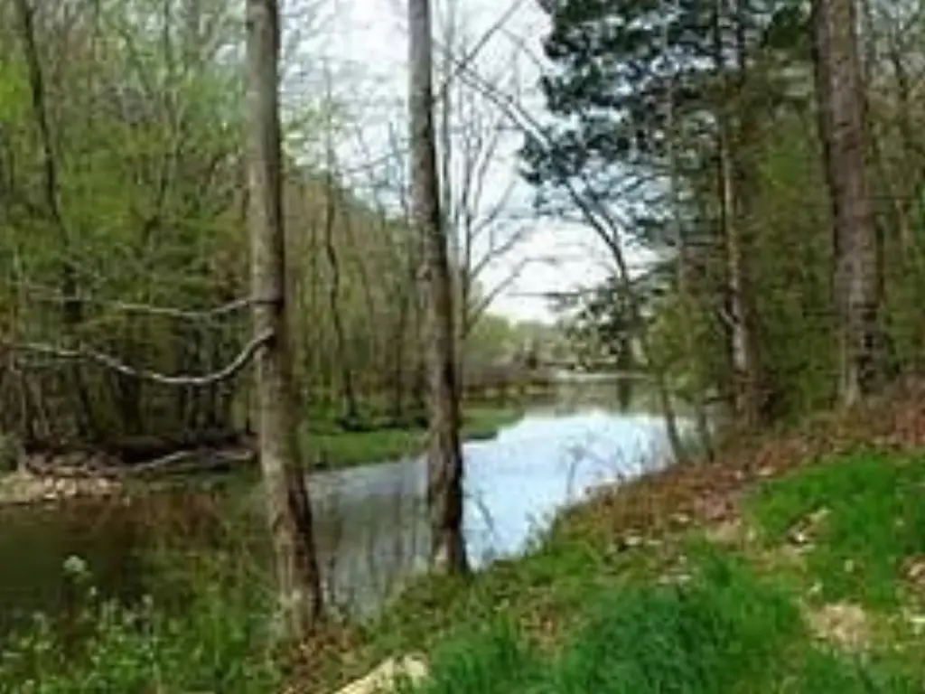 Picture 7