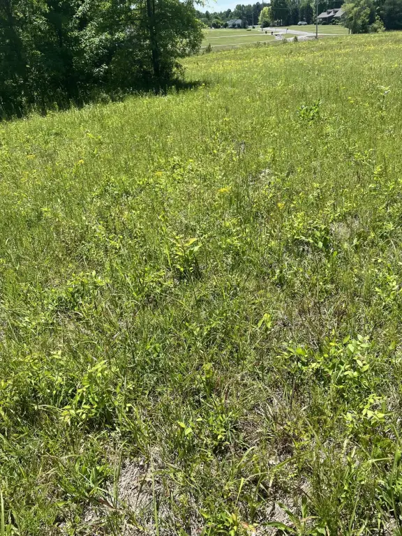 Picture 4