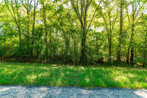Timbered Land with Creek