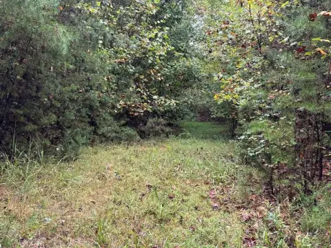 Wooded Acreage in Farmville, Virginia