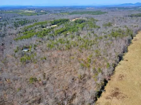24-Acre Wooded Lot in Appomattox